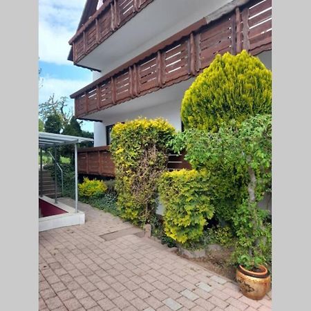 Souterrain Wohnung In Bensheim Zewnętrze zdjęcie